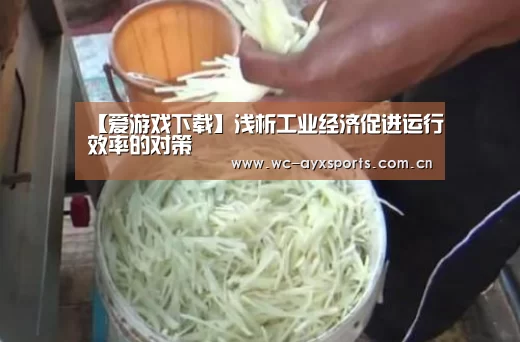 【爱游戏下载】浅析工业经济促进运行效率的对策(图2) 爱游戏官网