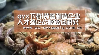 ayx下载|装备制造企业人才强企战略路径研究(图1) 爱游戏下载