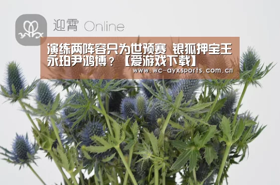 演练两阵容只为世预赛 银狐押宝王永珀尹鸿博?【爱游戏下载】(图1) 爱游戏官网