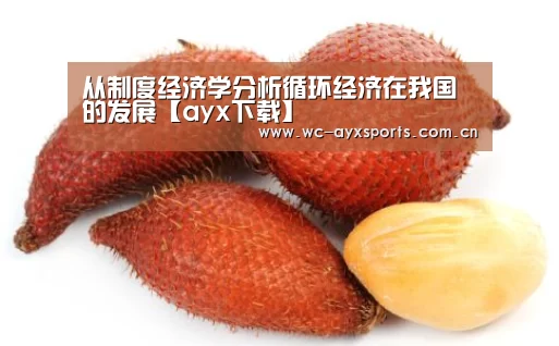 从制度经济学分析循环经济在我国的发展【ayx下载】(图3) 爱游戏下载